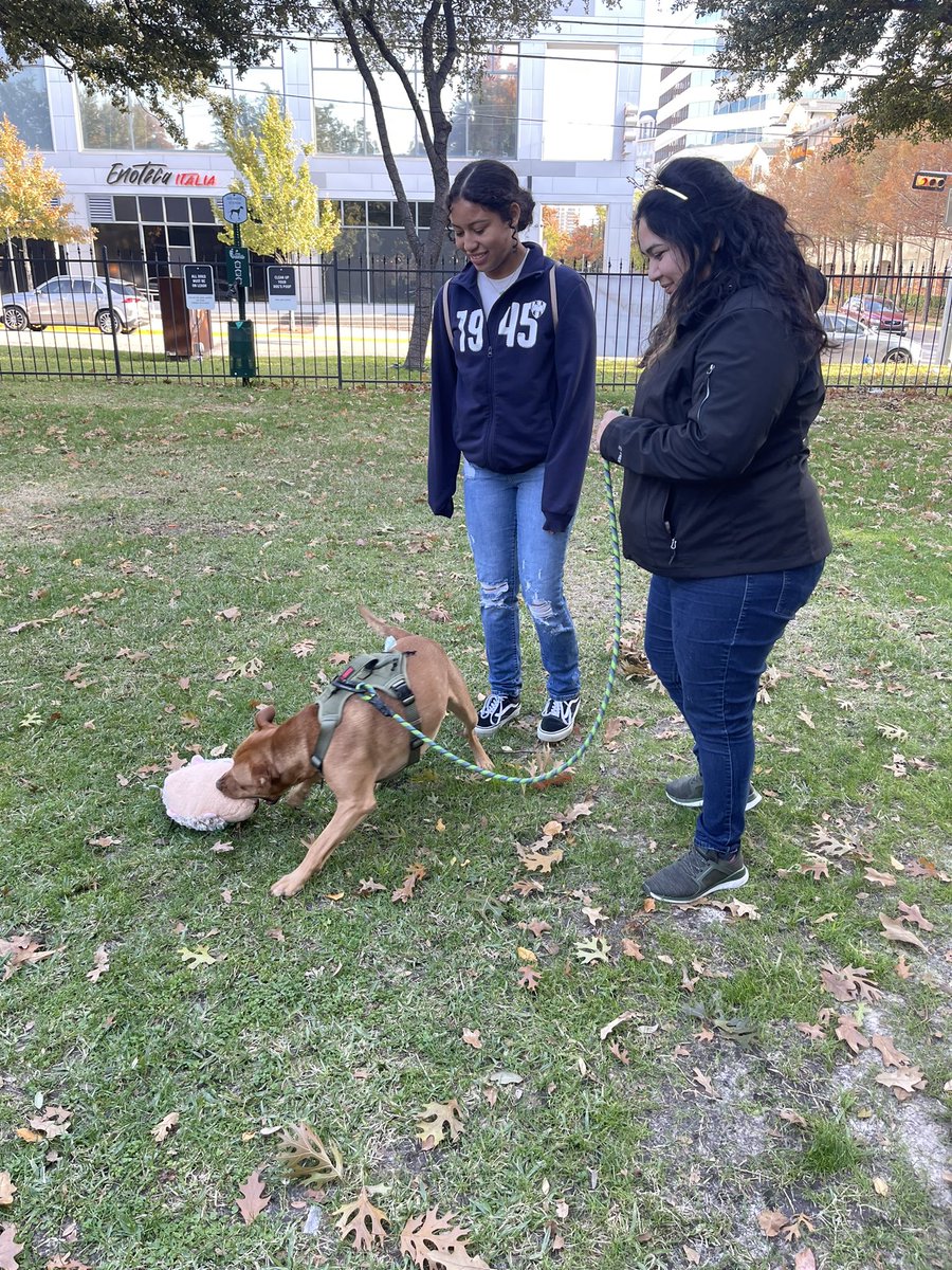 DPDLGBTQ's tweet photo. Come to at @Uniondallas 3705 Cedar Springs for a free dog stuffie, and to meet some cops and canines. https://t.co/GXgXmdkE32