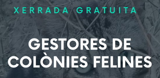 Hem organitzat dues xerrades per a gestores de colònies de gats, per compartir coneixements i posar en comú idees que ens puguin ajudar a totes.
La Lídia López, especialista en comportament i benestar felí, va compartir els seus coneixements en la matèria.
#CER