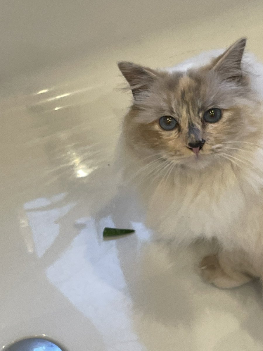 Kimi ging in bad zitten! Nee er zat geen water in gelukkig!