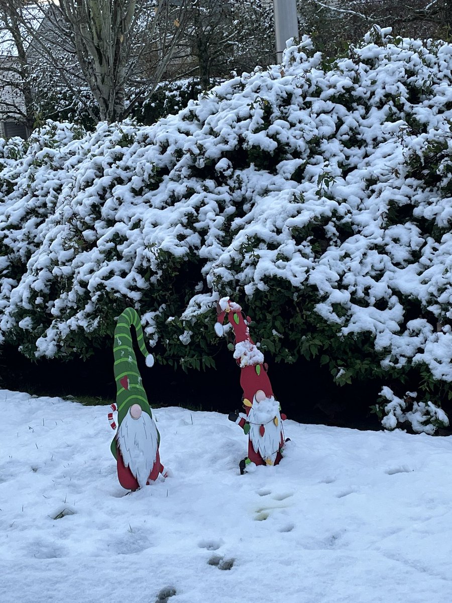 AmyTeachesESL's tweet photo. @KSeattleWeather Just enough to cover the ground in South Seattle! https://t.co/xFcLnclTRm