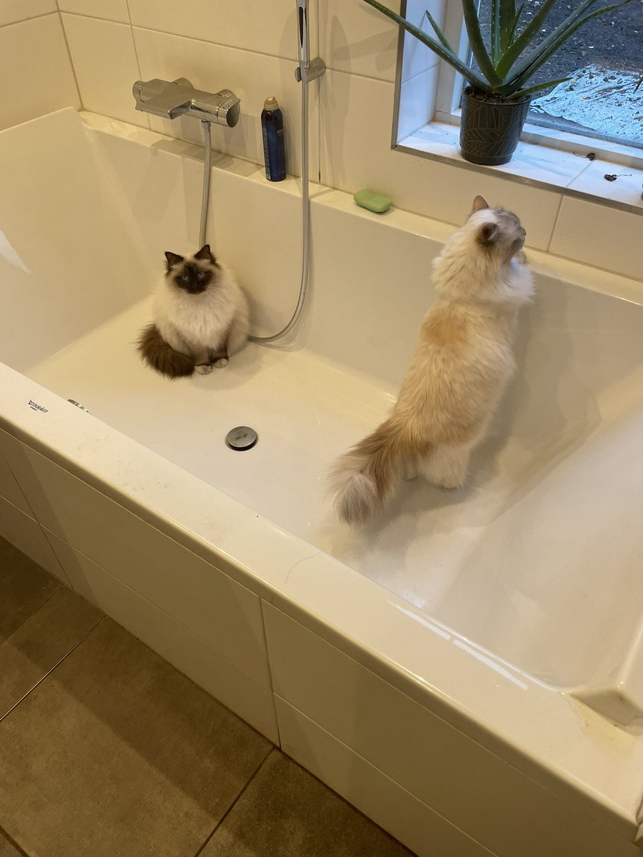 En toen gingen we samen!