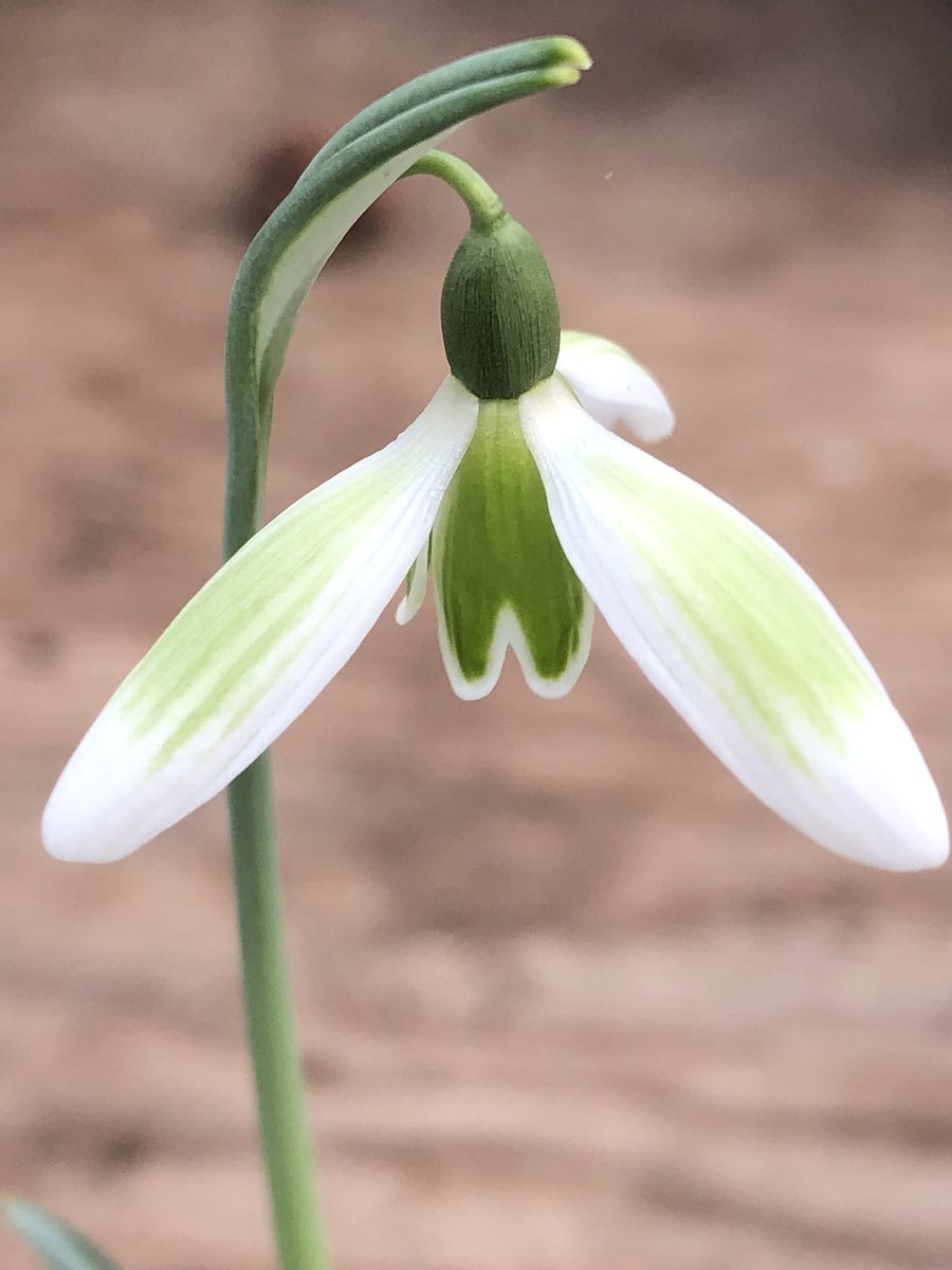 Paul Barney tweet media