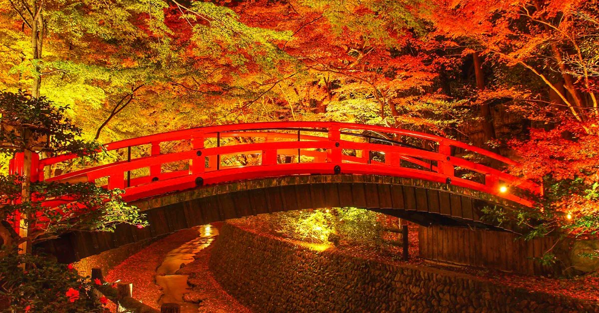 aufildujapon's tweet photo. Le soleil se couche tôt au japon mais beaucoup d’endroits sont illuminés pour profiter un maximum de ce spectacle éphémère! https://t.co/2J3Em63s99