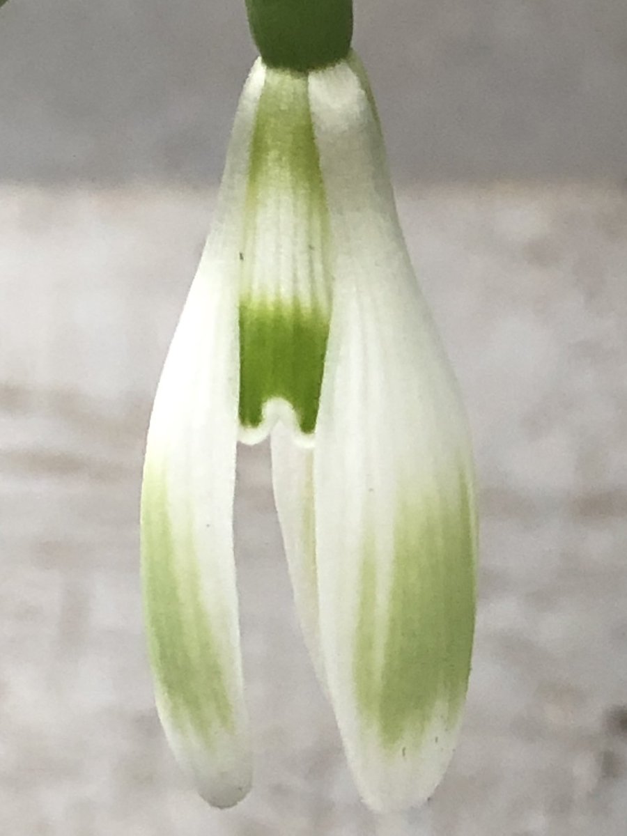 Paul Barney tweet media