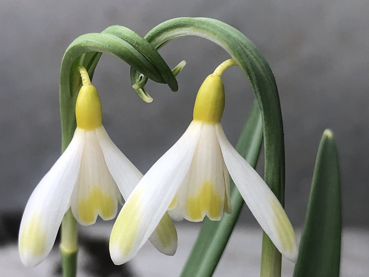 Paul Barney tweet media