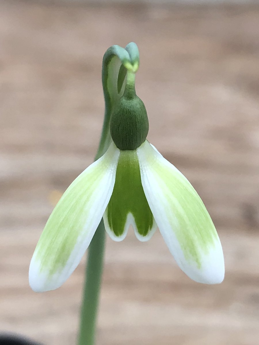 Paul Barney tweet media