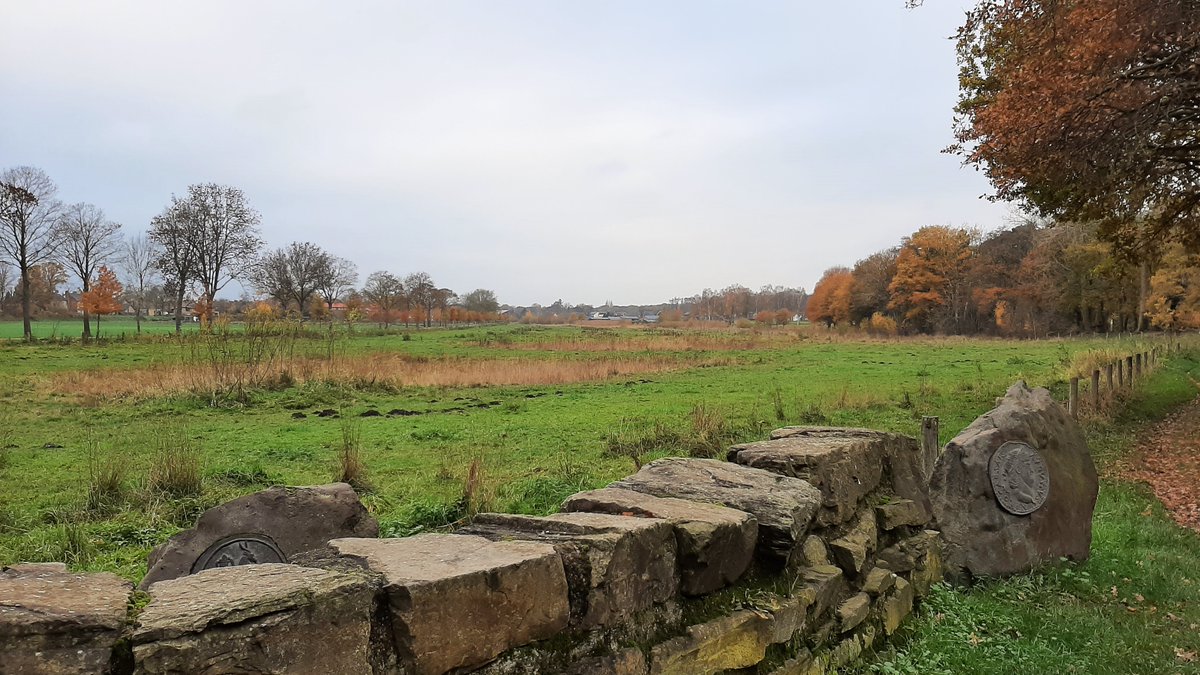 inja5248's tweet photo. vandaag 🥾🥾gewandeld in 't #Sweeltje, #Reigersbroek en landgoed #Rozendaal @Limb_Landschap💚 https://t.co/991NkIyKmE