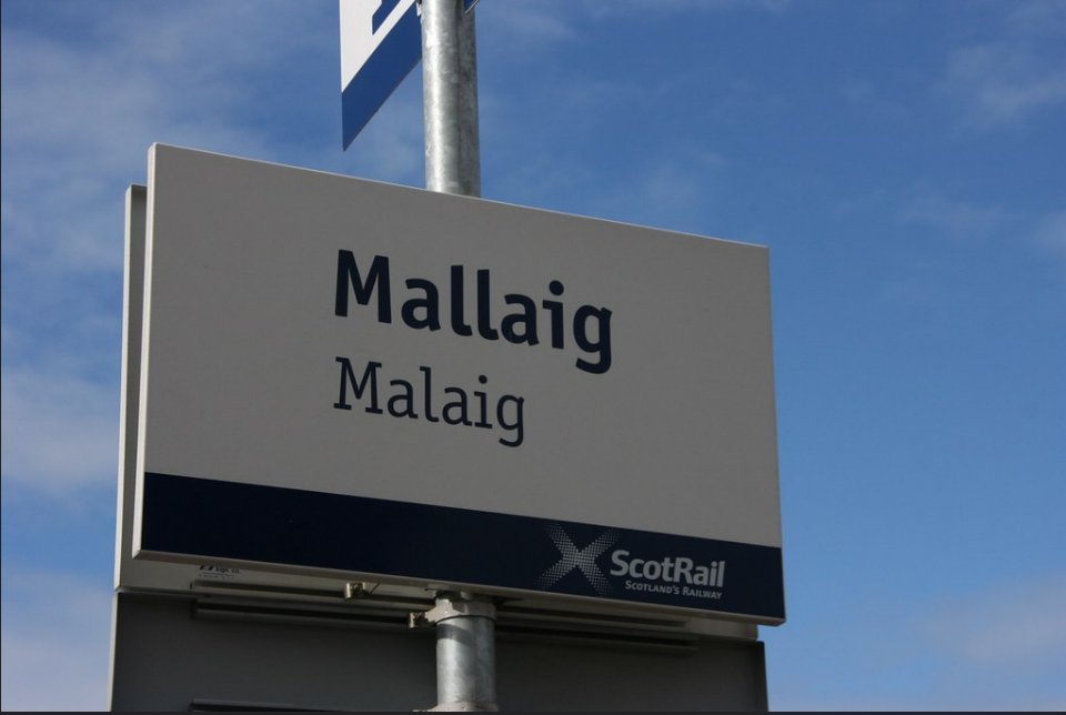 CarlosDangerX's tweet photo. Another pointless sign.

Must've been countless numbers of Gaelic speakers visiting Mallaig not knowing where to get off the train before they added the translation. https://t.co/PpeHXio6Rs