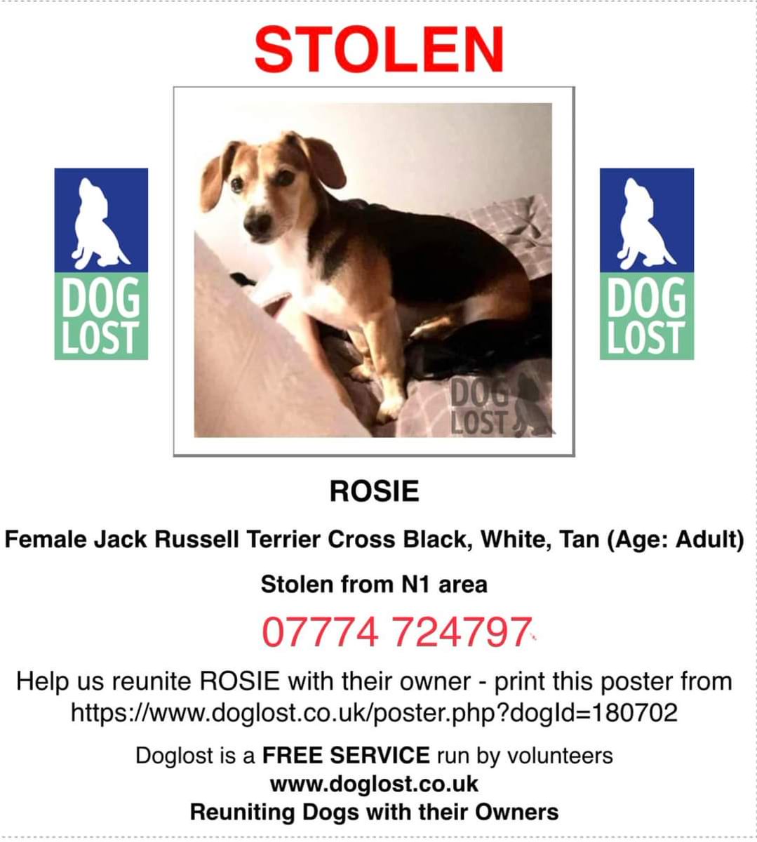 MissingPetsGB tweet picture