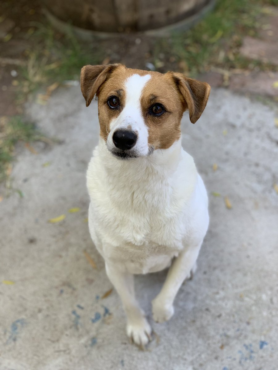 Cobus Bernard 🌩 🇿🇦 in 🇺🇸🥑 tweet media