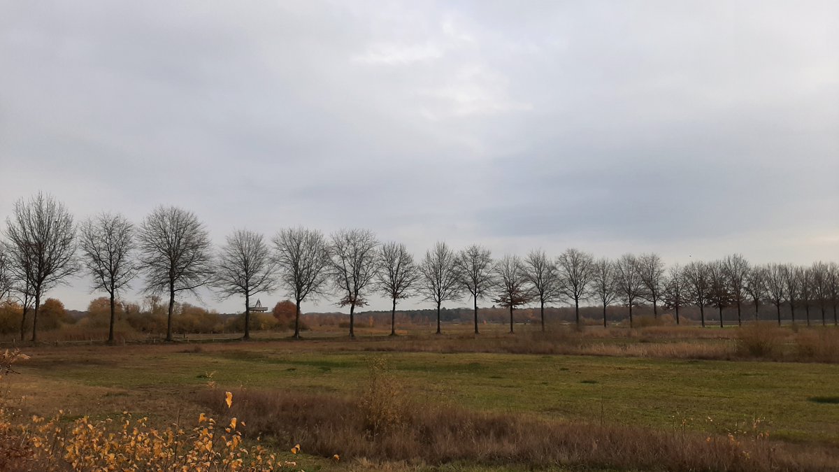 inja5248's tweet photo. vandaag 🥾🥾gewandeld in 't #Sweeltje, #Reigersbroek en landgoed #Rozendaal @Limb_Landschap💚 https://t.co/991NkIyKmE