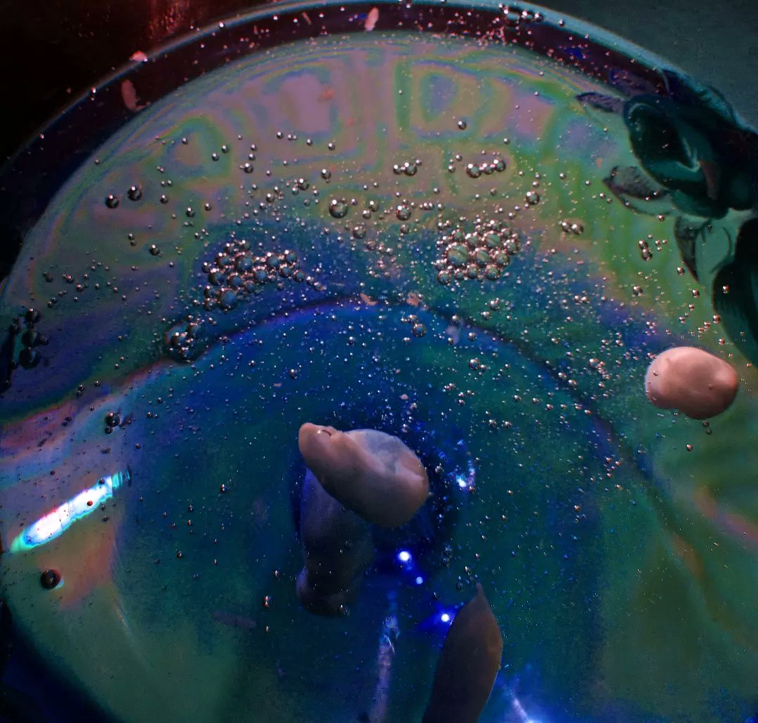 333Vladimir's tweet photo. 03.07.2022.
Shot on Panasonic DMC TZ5.
#photo #PHOTOS #photooftheday #Photofriday #abstractart #abstractionphotos #abstractcolors #Abstract #mobilephoto #mobilephotography #space #spaceworld #underwater #MiraCLE #beautifulworld #beautiful https://t.co/sNmVWsYGAh