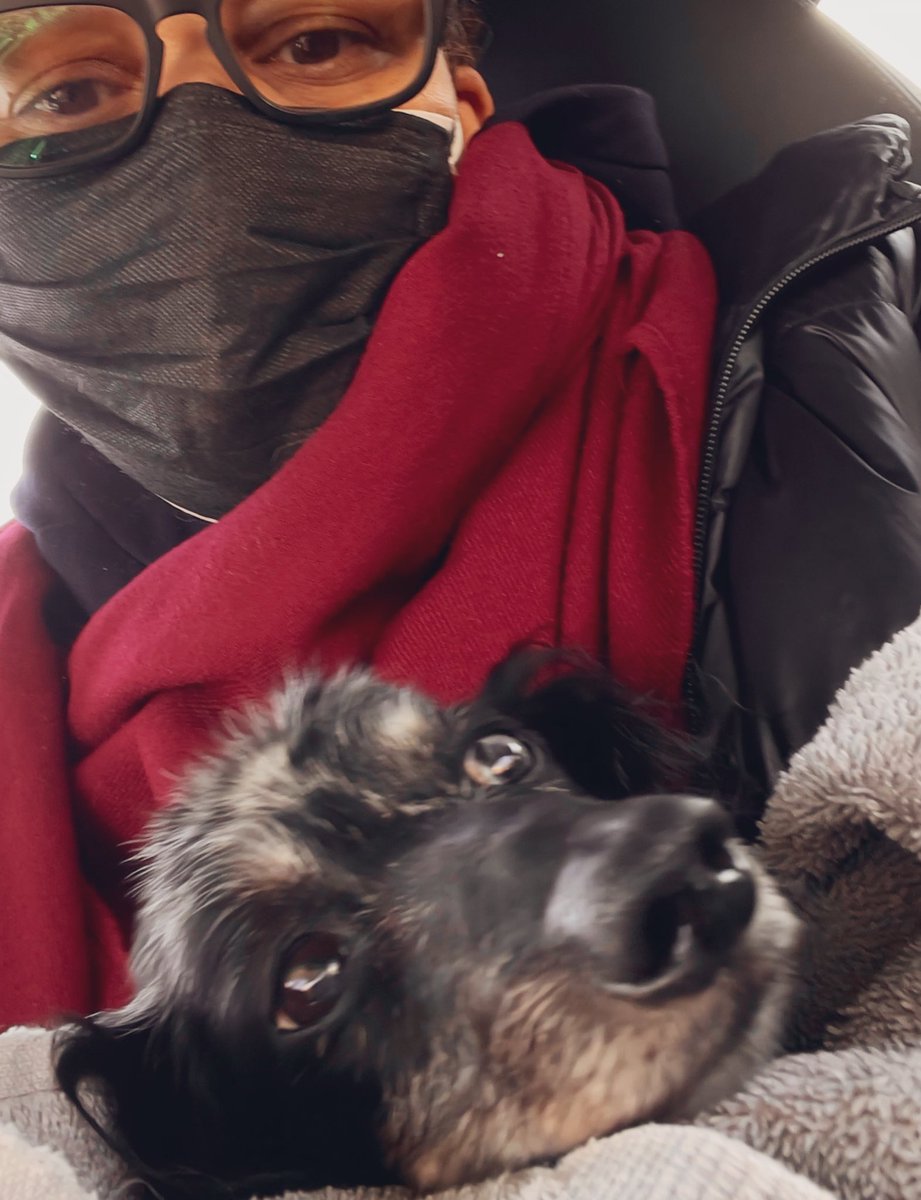 Daphnemcw's tweet photo. RIP Rocco (the Roc βO Roller) π
Iβll take care of your Daddy G, who misses you terribly π
You will always hold a special place in my heart β€οΈ. I know Cathy will love you unconditionally π #Dachshunds #FetchMaster https://t.co/yhxBH7xDGX