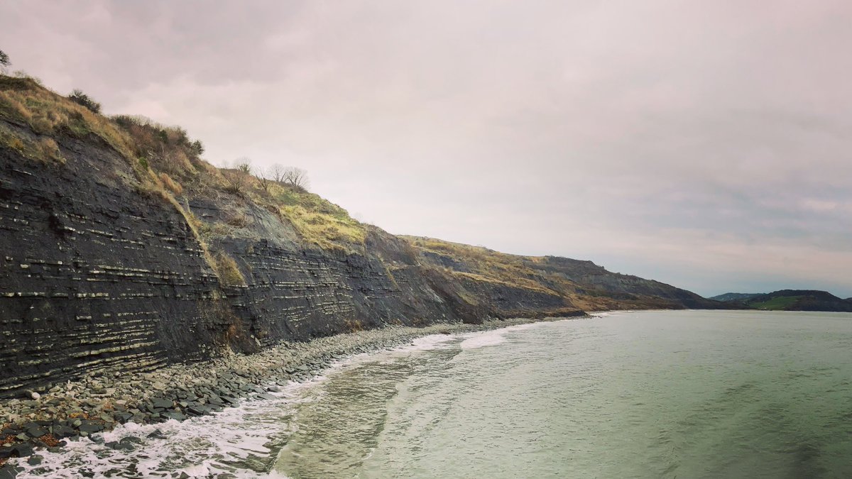 Devon Denizen tweet media