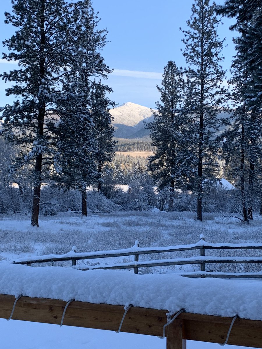 lakreis's tweet photo. -4 this morning at Ninemile. Did we skip a month? I feel like we missed a month somewhere….#Januaryfeeling #mtwx #montana #cold #cowsarecold https://t.co/eKItXoSHOJ