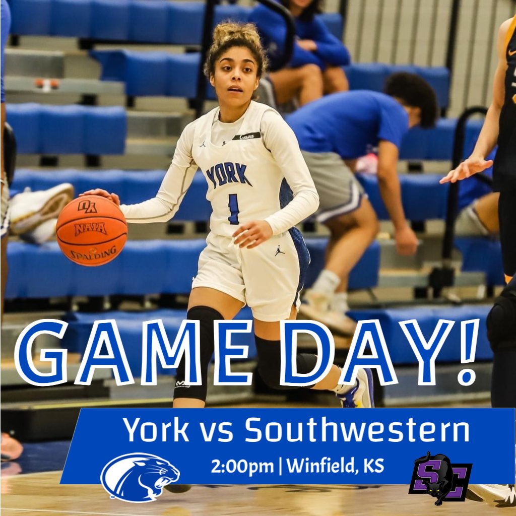 YUPanthersWBB's tweet photo. GAME DAY!🏀⛹🏽‍♀️
York will be facing Southwestern College today in Winfield, KS. Game starts at 2:00pm (CST). #YorkUniversity 💙🤍 https://t.co/zemgGupeUo