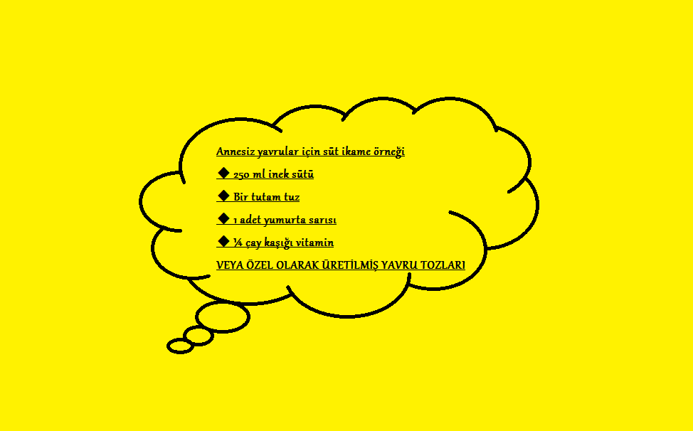 Annesiz yavrular için ikame beslenme örneği🐾🐾🐾
#Cat 
#kedi
#dog
#köpek
#veteriner
#evcilhayvan
#pet