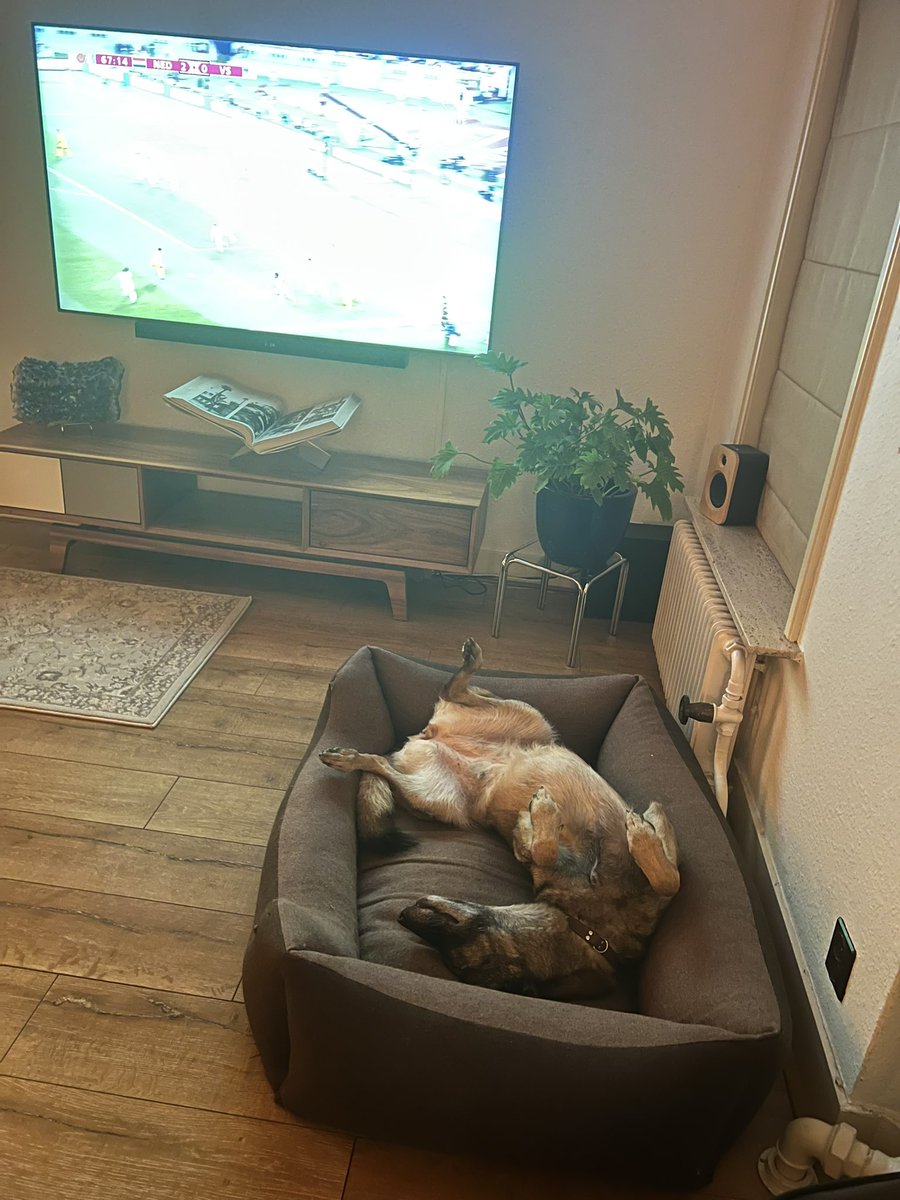 Heleen van Royen tweet media