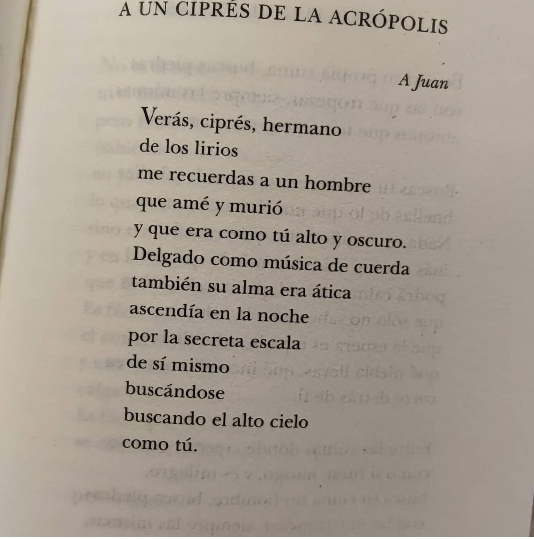 Palomas_Alejand's tweet photo. Madre mía, este poema de Blanca Andreu. Qué hermoso el qué, el cómo y el cuándo. https://t.co/coC3CGgAK9