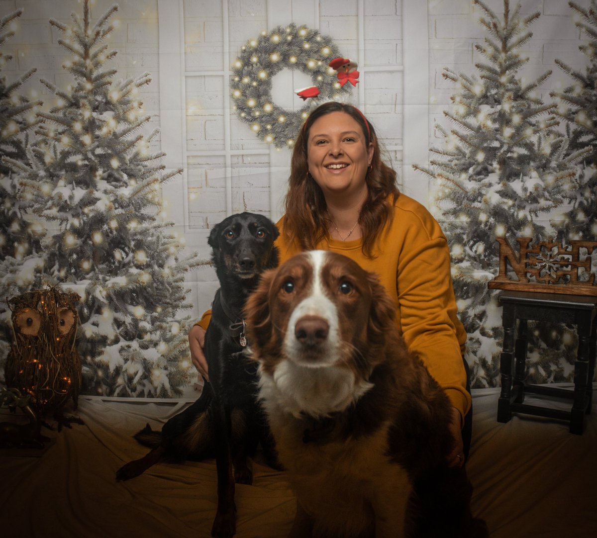 MattSchofieldP1's tweet photo. Festive photography session the dogs where just brilliant. Great session. 
.
.
.

#christmasphotography #christmas #christmasphotoshoot #photography #christmastree #christmaslights #photo #christmasdecorations #christmasmagic #christmasvibes #christmasphotos #christmascountdown https://t.co/bs5uvmyZb5