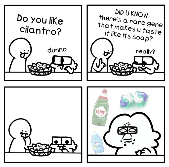 wtf 