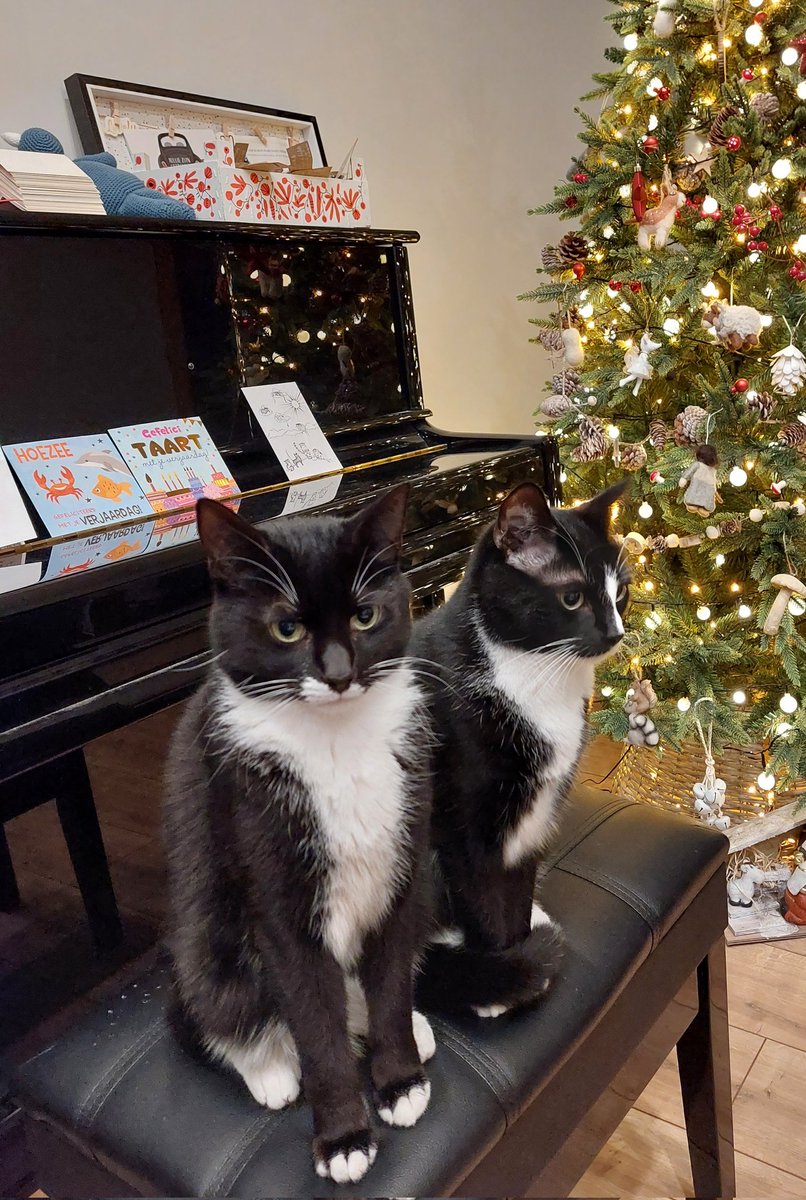 Rogue & Ranger tweet media