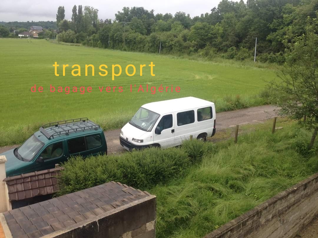 Sofiane Saci (@sofianesaci6) on Twitter photo 