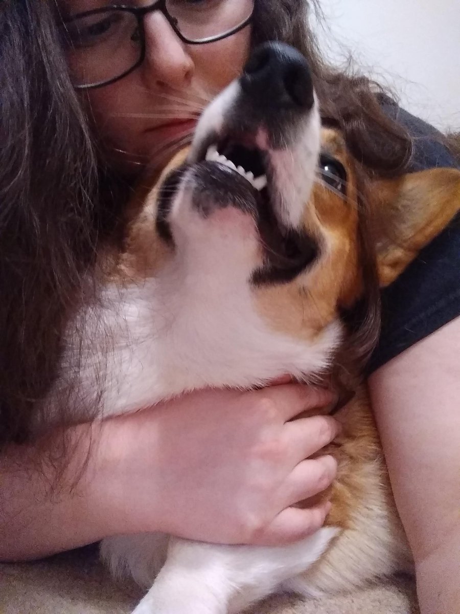SJPoetryCorner's tweet photo. My favorite pictures of myself (in 2022) are the ones with my little Wesley. I have so many, but these are some of my absolute favorites. ❤️❤️ https://t.co/ChdpT1EDnN