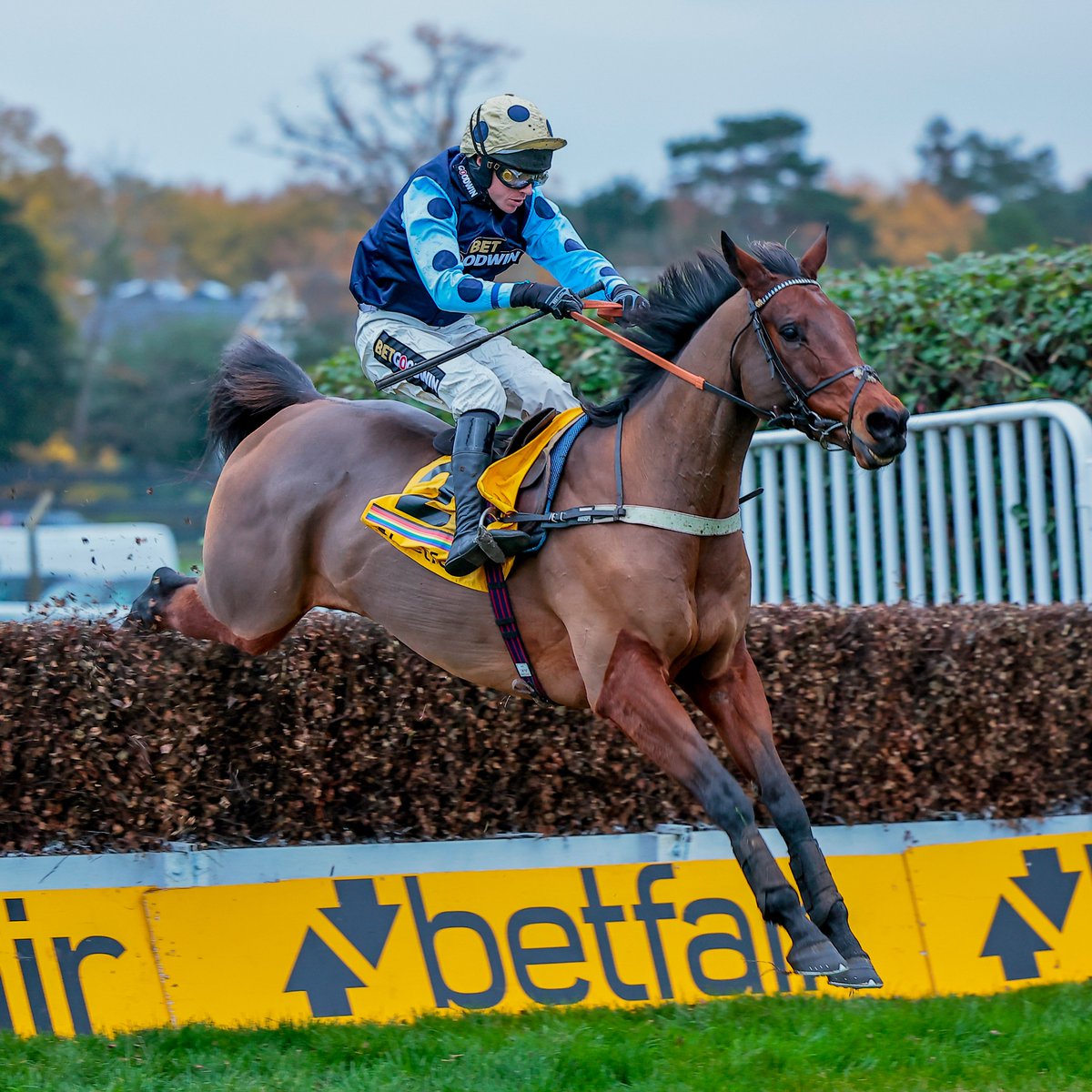 Racing Post tweet media