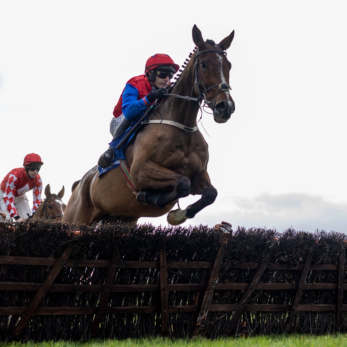 Racing Post tweet media