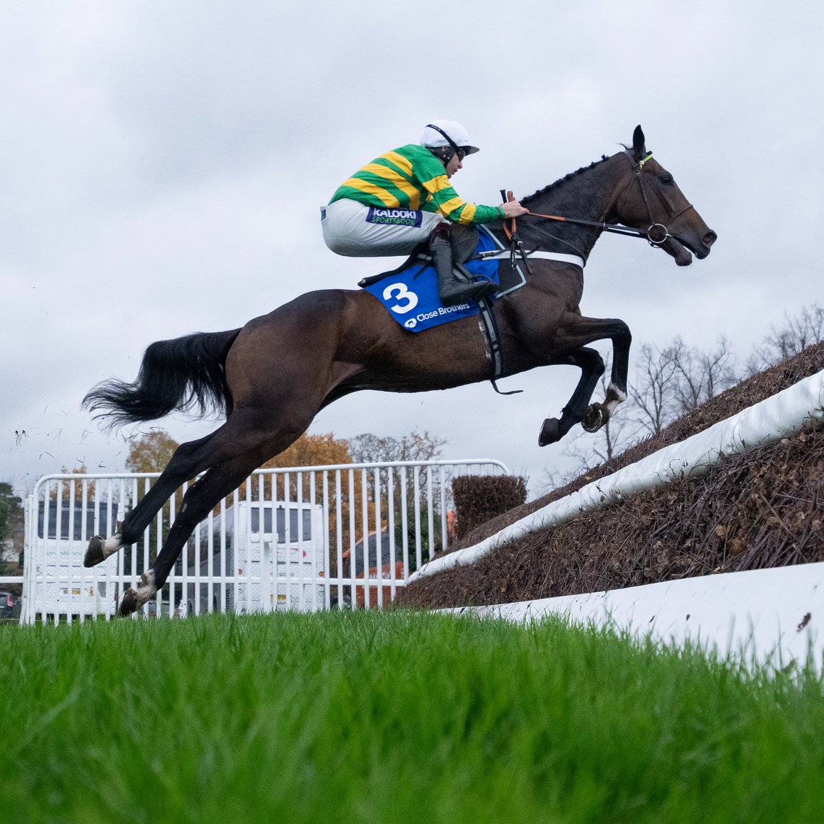 Racing Post tweet media