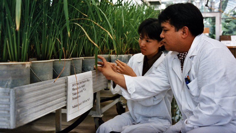 Thanawat Tiensin tweet media