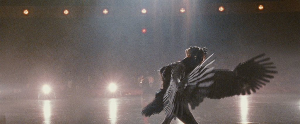 FilmUpdates's tweet photo. 12 years ago today, ‘BLACK SWAN’ was released in theaters. https://t.co/uyp1fjQ09c