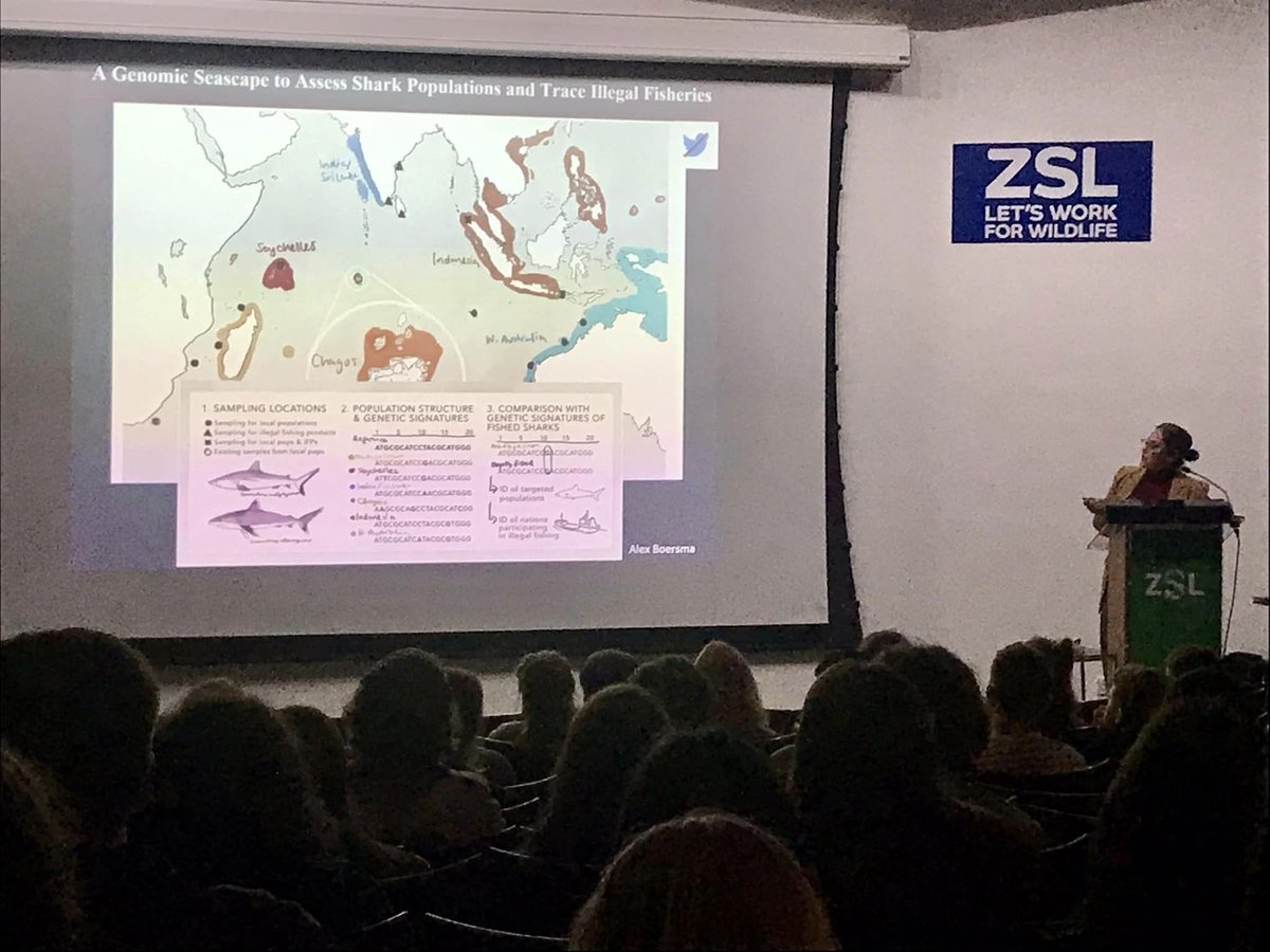 ChagosTrust's tweet photo. Our Director @spgalea and coral expert Trustee, Dr Ken Johnson (@NHM_London), are attending the @ReefConsUK #RCUK22 conference at @OfficialZSL.

Feat. fascinating talks about current #coral🪸 research, opps were found to update all on CCT🐢's #HealthyIslandsHealthyReefs project🌊 https://t.co/3BEHGCgU2h