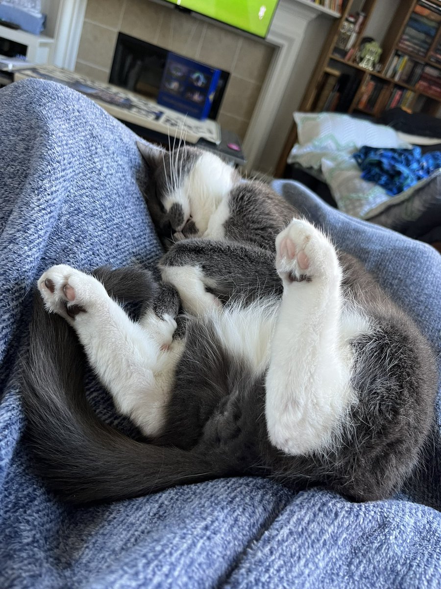 BurtyButt's tweet image. Completing unbothered by the current Ned 3 : USA 1 score