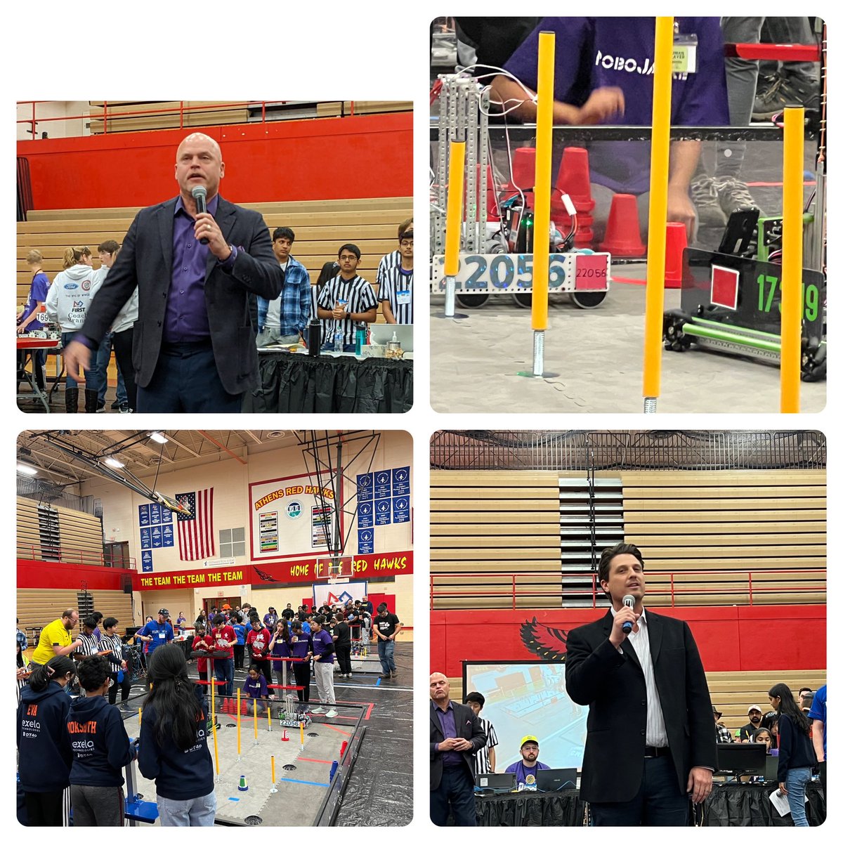 Hammerheads 226 tweet media