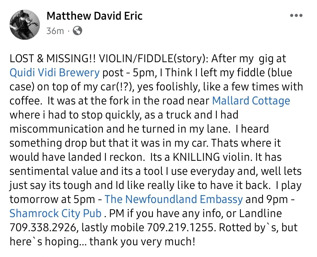 Andrea_EE2's tweet photo. Hey diddle diddle, help Hornell find his fiddle! #missingnl #yyt @NLLiveEvents https://t.co/wEGVw6hg9f