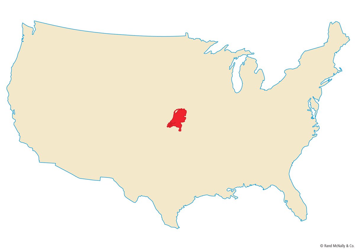 Rinus VeeKay (@rinusveekay) on Twitter photo 