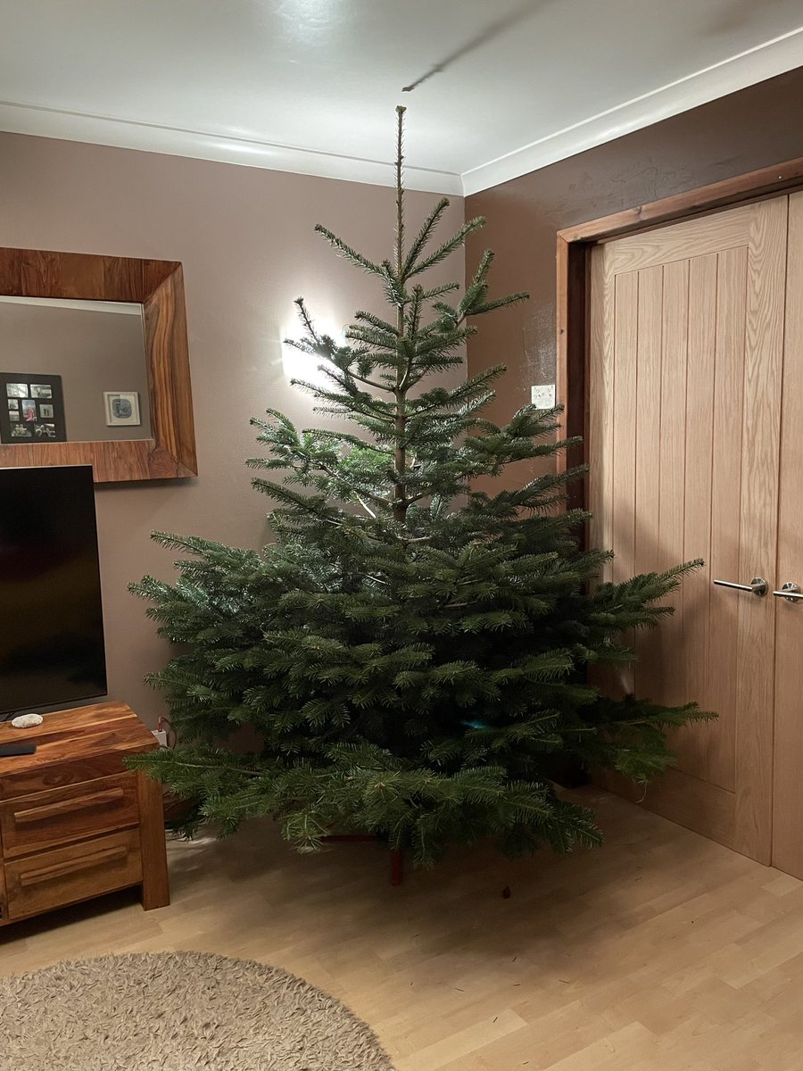 Another year, another “it looked deceptively smaller in the big field when we chose it mind, didn’t it?”