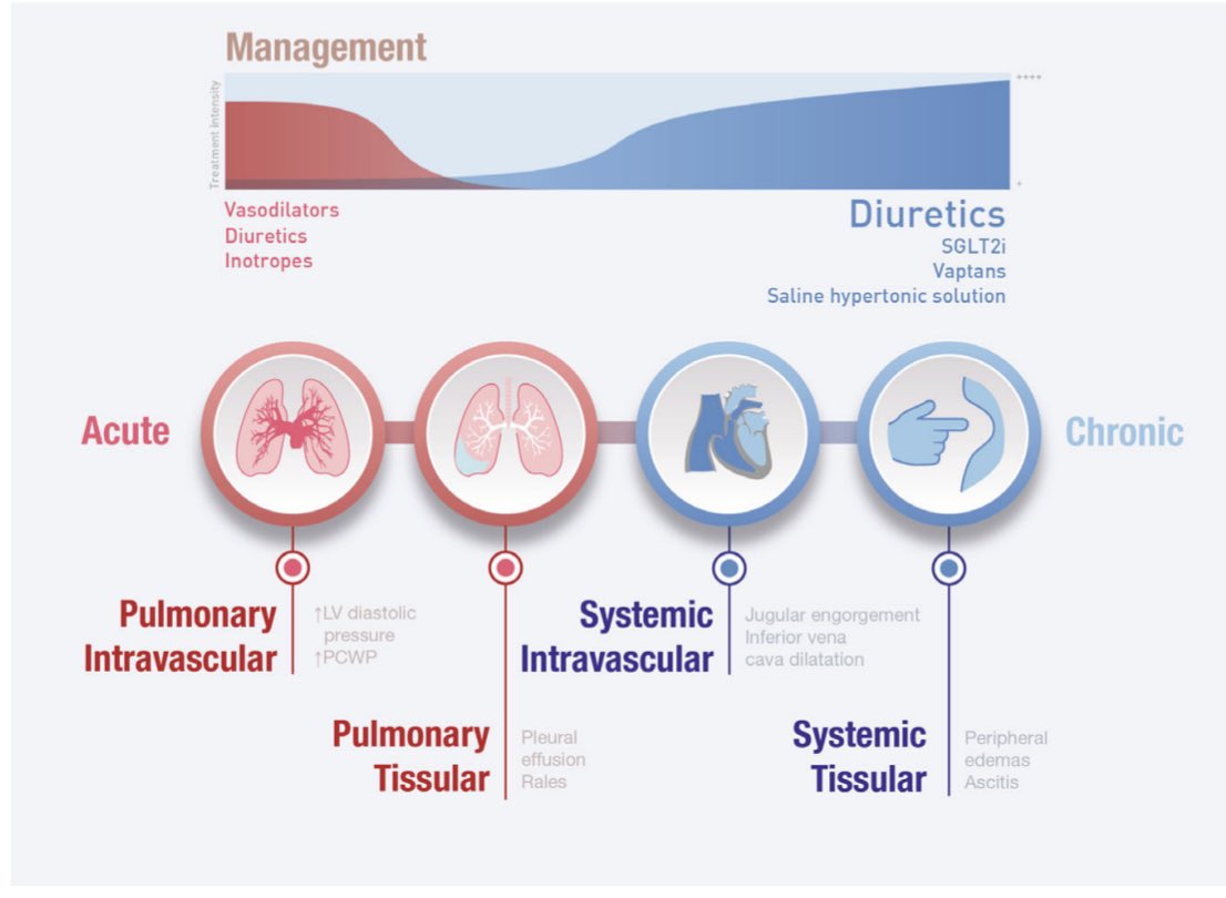 GiuseppeGalati_'s tweet photo. Great overview by #HFA_ESC on biomarkers of #congestion in #HeartFailure
🔥Right vs Left #HF
🔥Fluid redistribution vs Volume Overload
🔥 Acute vs Chronic Comgestion Phenotypes
🌟Intriguing role of #bioADM
@JJheart_doc @gcfmd @JBauersachsMD 
@JavedButler1

https://t.co/ozfzU0QoL6 https://t.co/xPpljTr04U