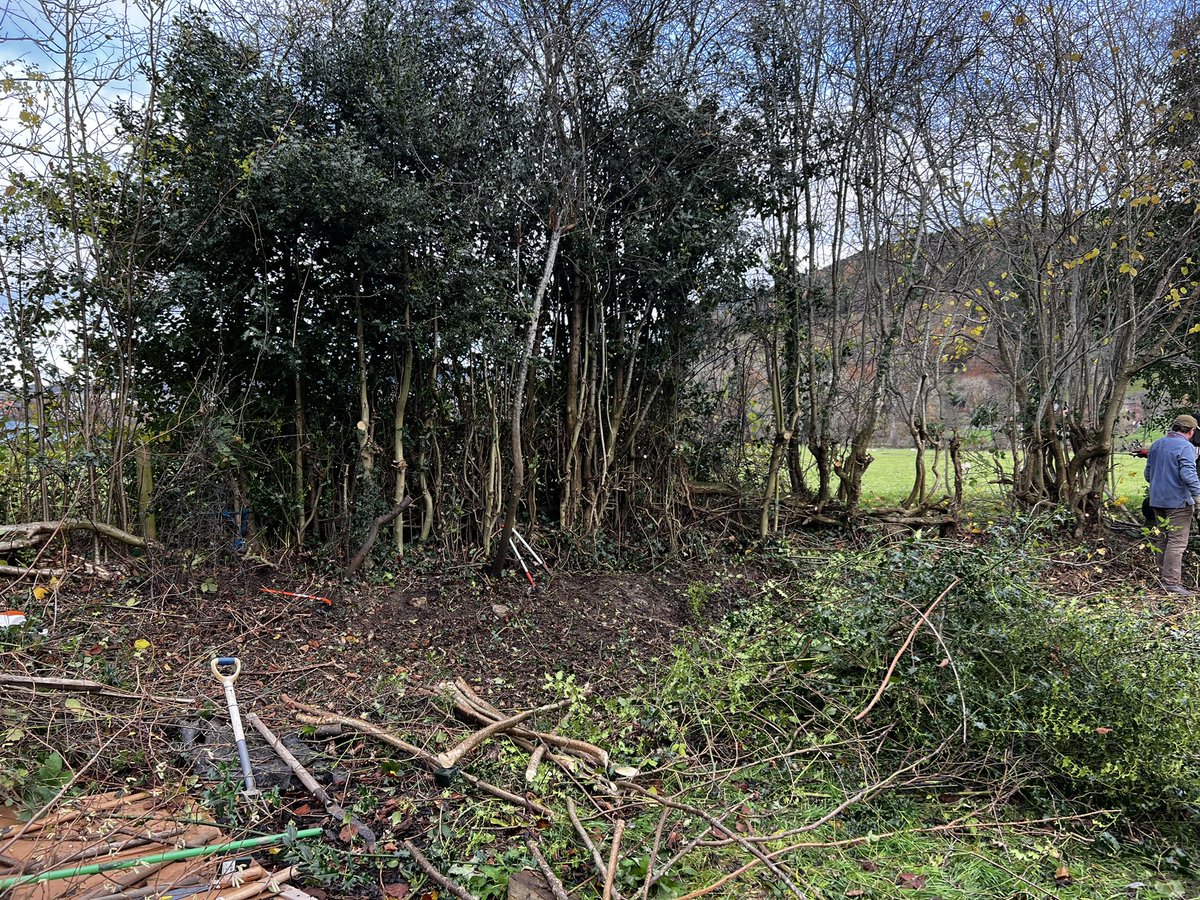 CoedYGo's tweet photo. Had a really great day learning how to #pleach at #YDolydd today with @lottieglover23 from @MontWildlife 

Tutored by the ace Al Housman…

#GoodForTheSoul #Habitat #Hedging https://t.co/JbEMMANWfe