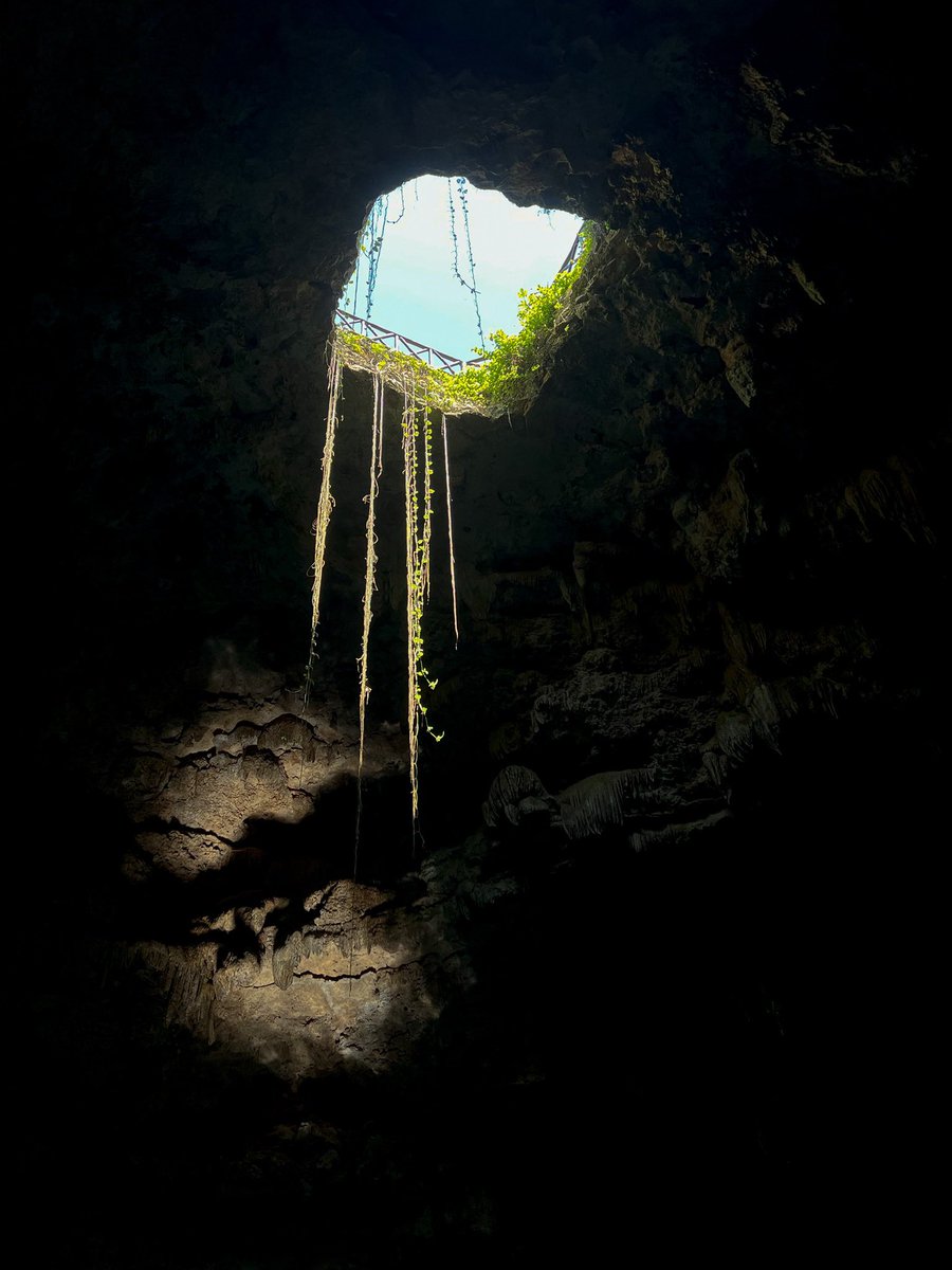TuristaYucatan's tweet photo. #Yucatán y sus mágicos lugares…
#photooftheday #travelphotography #visitMéxico https://t.co/1nSefOPg5s