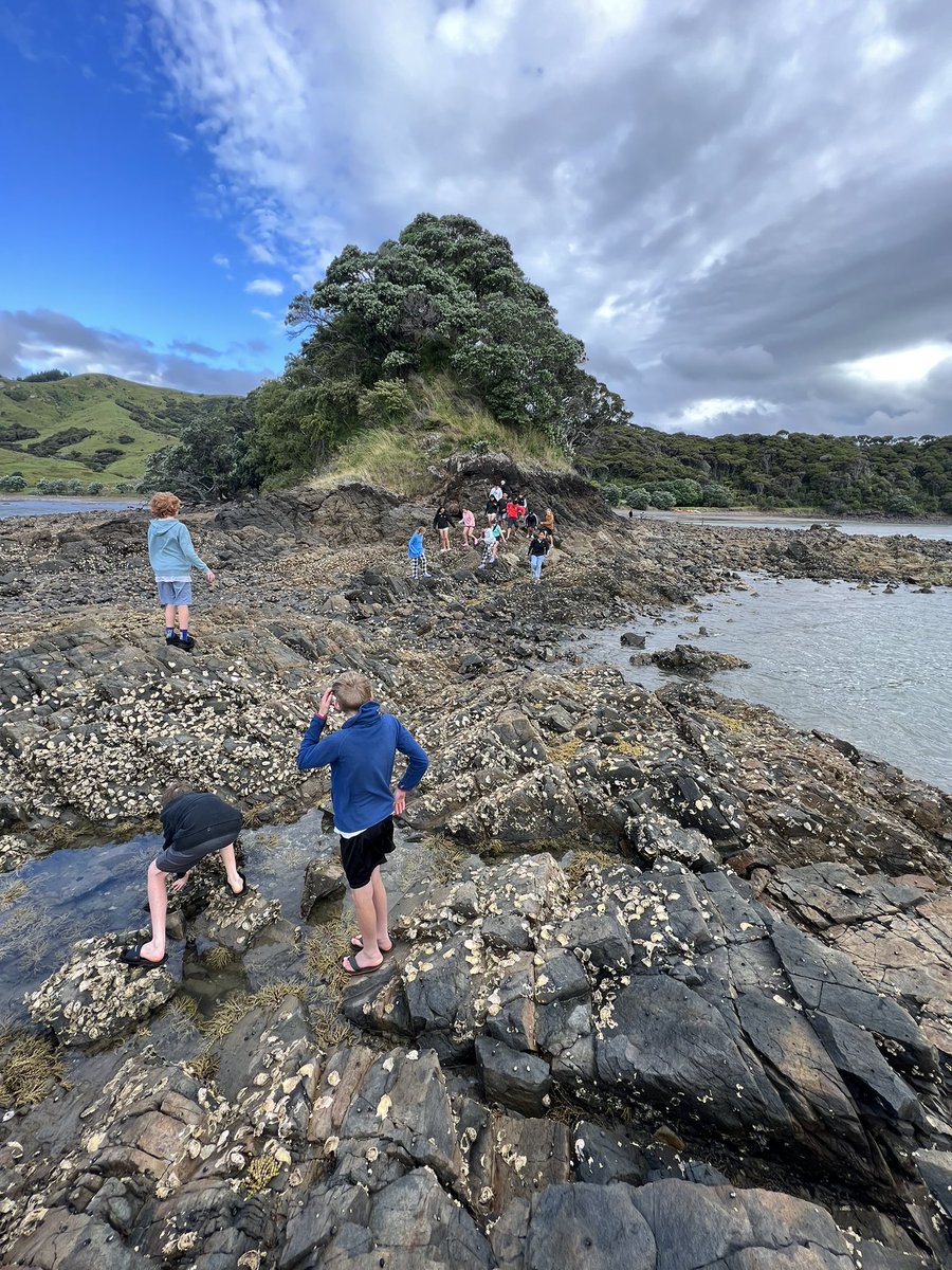 A week of kayaking, ziplining, paddle boarding, fishing, snorkelling, beach sports, team building, orca spotting, penguin spotting and rock scrambling in the Coromandel. Not a phone or laptop in sight, just 27 enthusiastic students. What a fantastic summer camp ☀️🌊🐳🐧🚣🏽‍♀️🏏🤿🎣