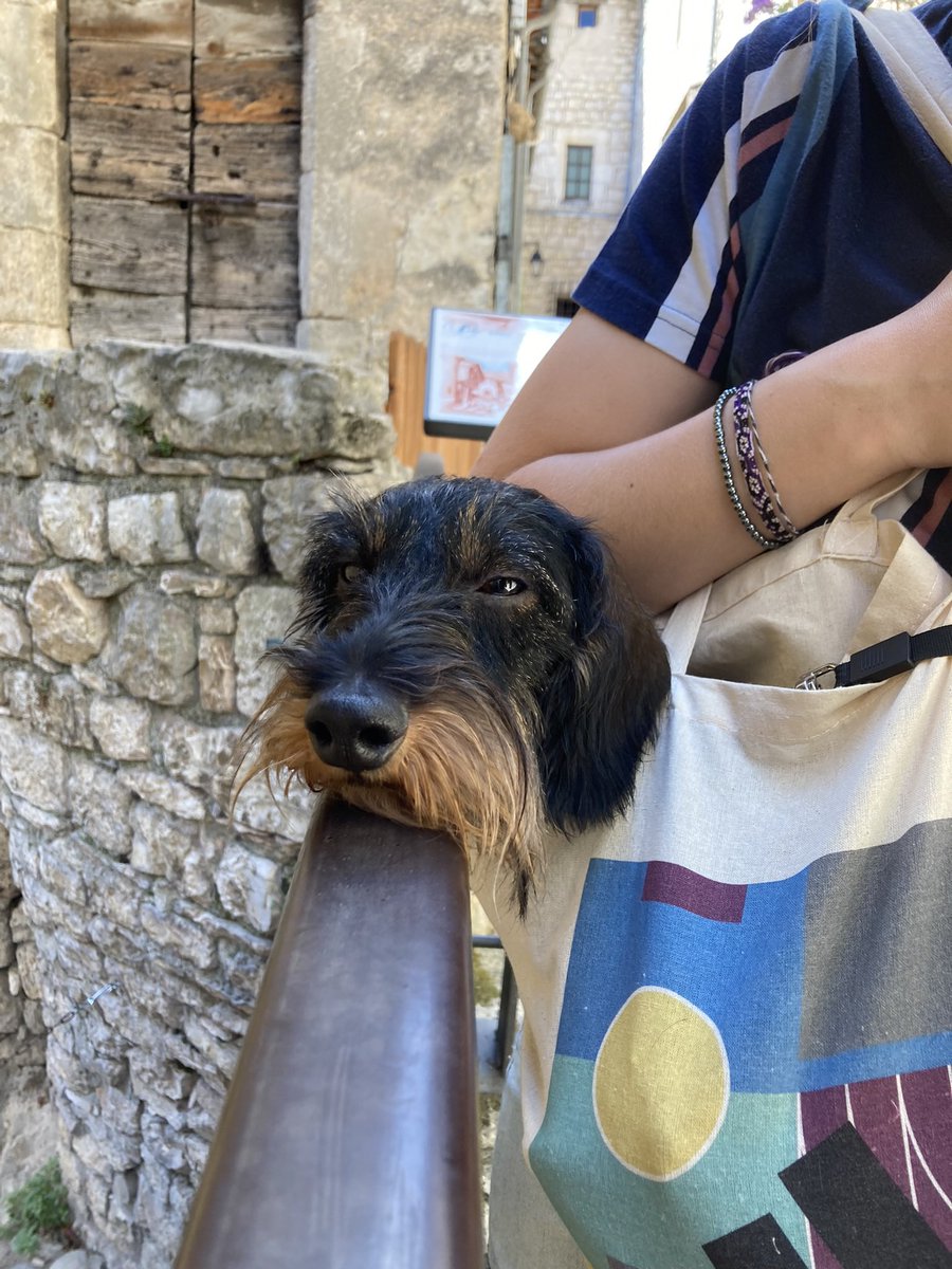 0010mid's tweet image. 