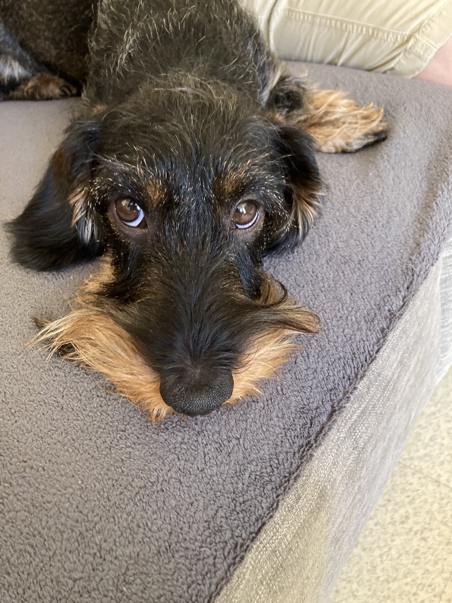 0010mid's tweet image. 