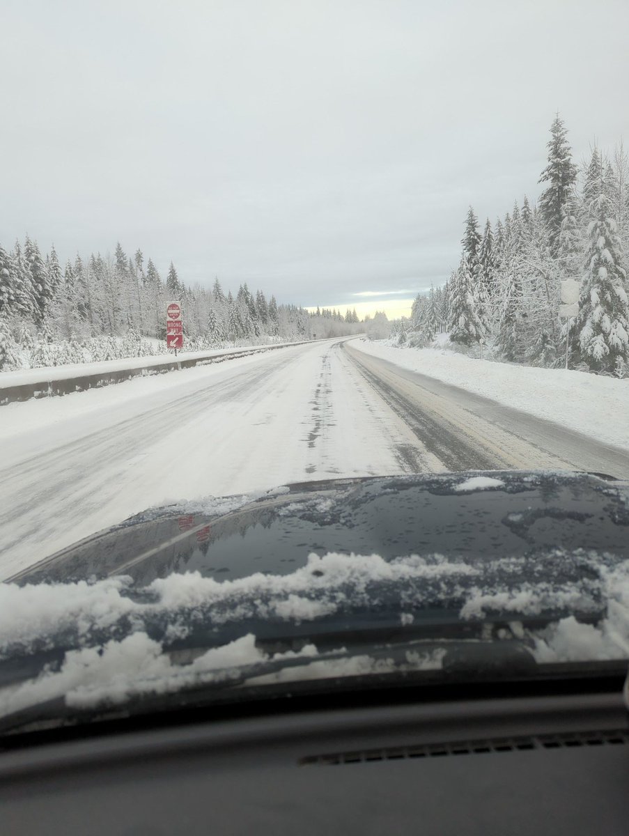 Jos Bell tweet media