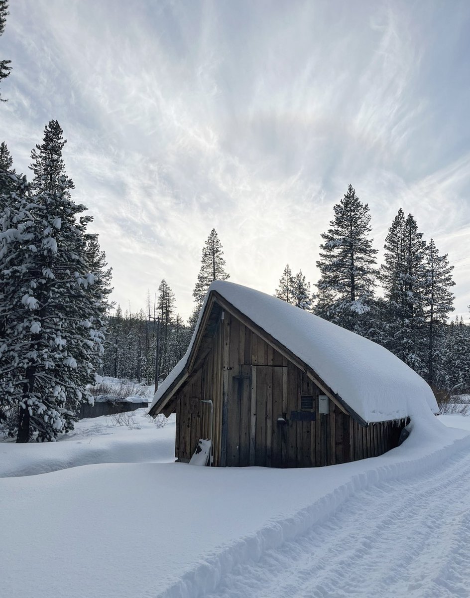 SagehenCreekFS's tweet image. our chilly Fish House getting ready for round two of the storm

📸 Ash
📍 Washoe Land

#sagehenfishhouse #sagehenweather #ucnrs #sagehencreek #cawx