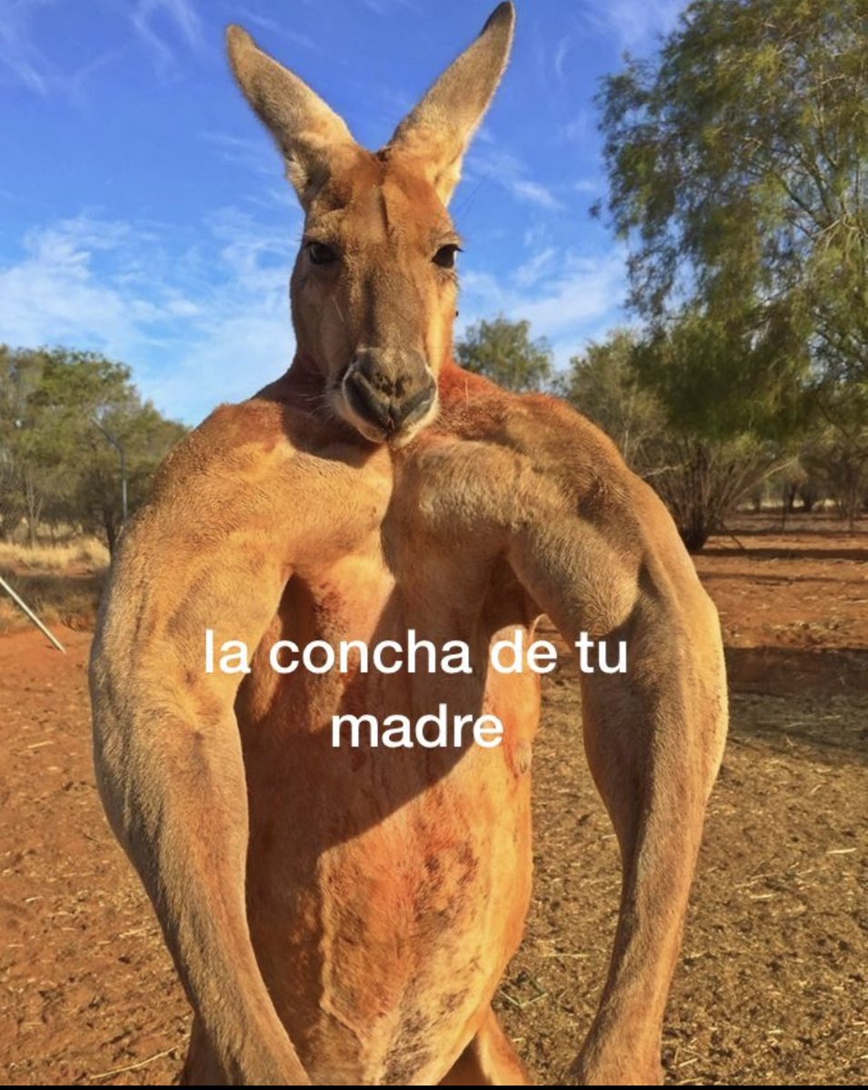 marcos🐠 tweet media