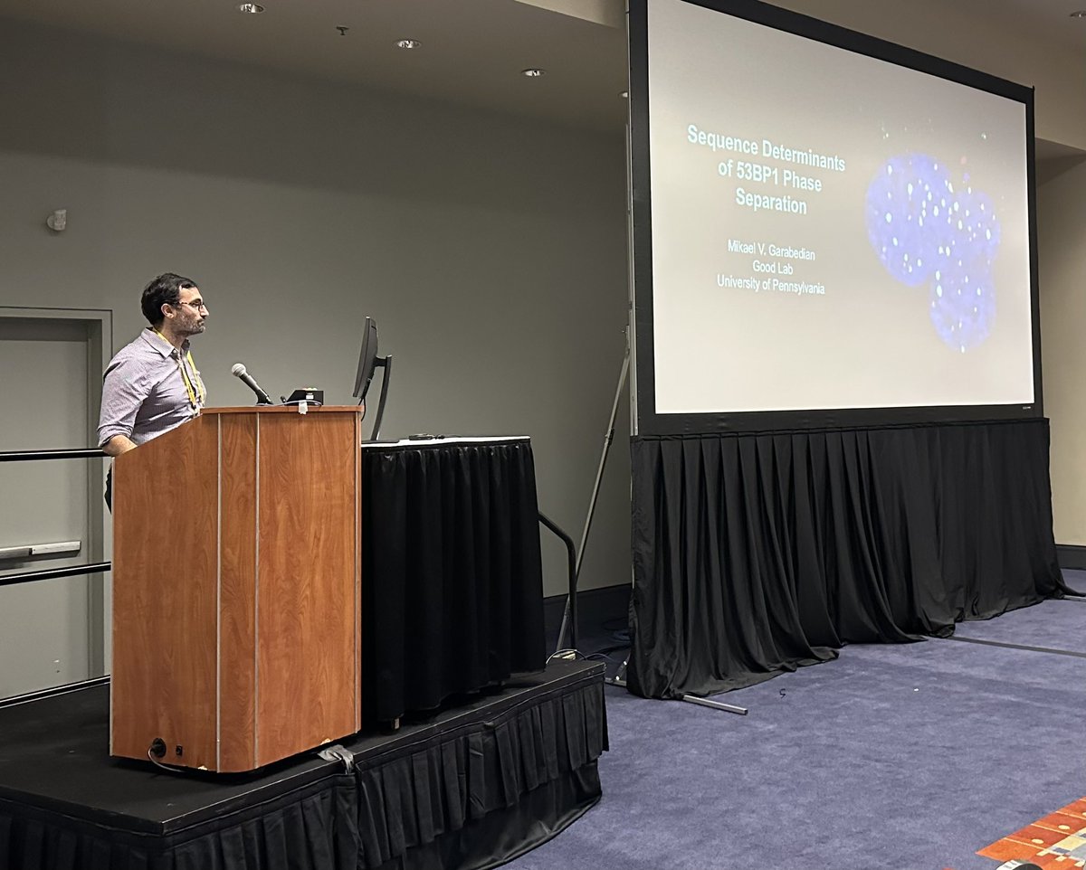 Matthew C. Good (@buenoscience) on Twitter photo Great first talk today for Good lab from <a href="/MVGarabedian/">Mikael V. Garabedian</a>. Sequence determinants for assembly of DNA damage condensates. Collab with <a href="/RogerRogergr/">Roger Greenberg</a> Great first talk today for Good lab from <a href="/MVGarabedian/">Mikael V. Garabedian</a>. Sequence determinants for assembly of DNA damage condensates. Collab with <a href="/RogerRogergr/">Roger Greenberg</a>