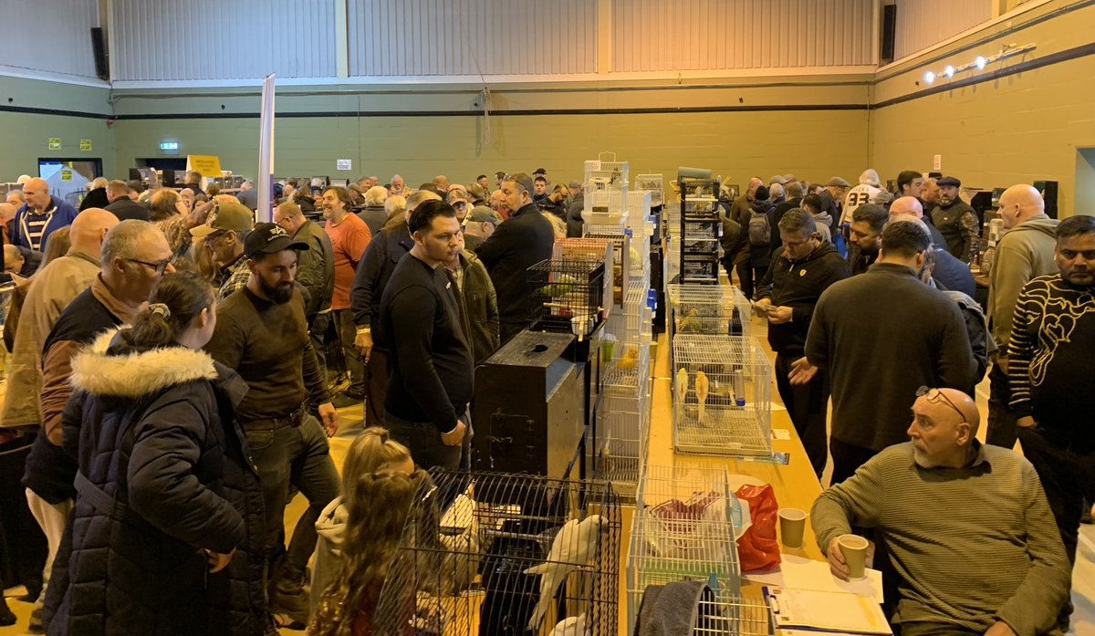 cambirdsale's tweet photo. 🦜 A massive thank you to everyone who came on Sunday for our latest sale; our biggest since the very first one before lockdown.
🦜 Thanks to our sponsors @Essexbirdcentre for the bird keeping supplies &amp; @DyersLtd for coming all the way from Somerset.
🦜 Next sale is SUN 29th JAN https://t.co/n7MCJBK0t4